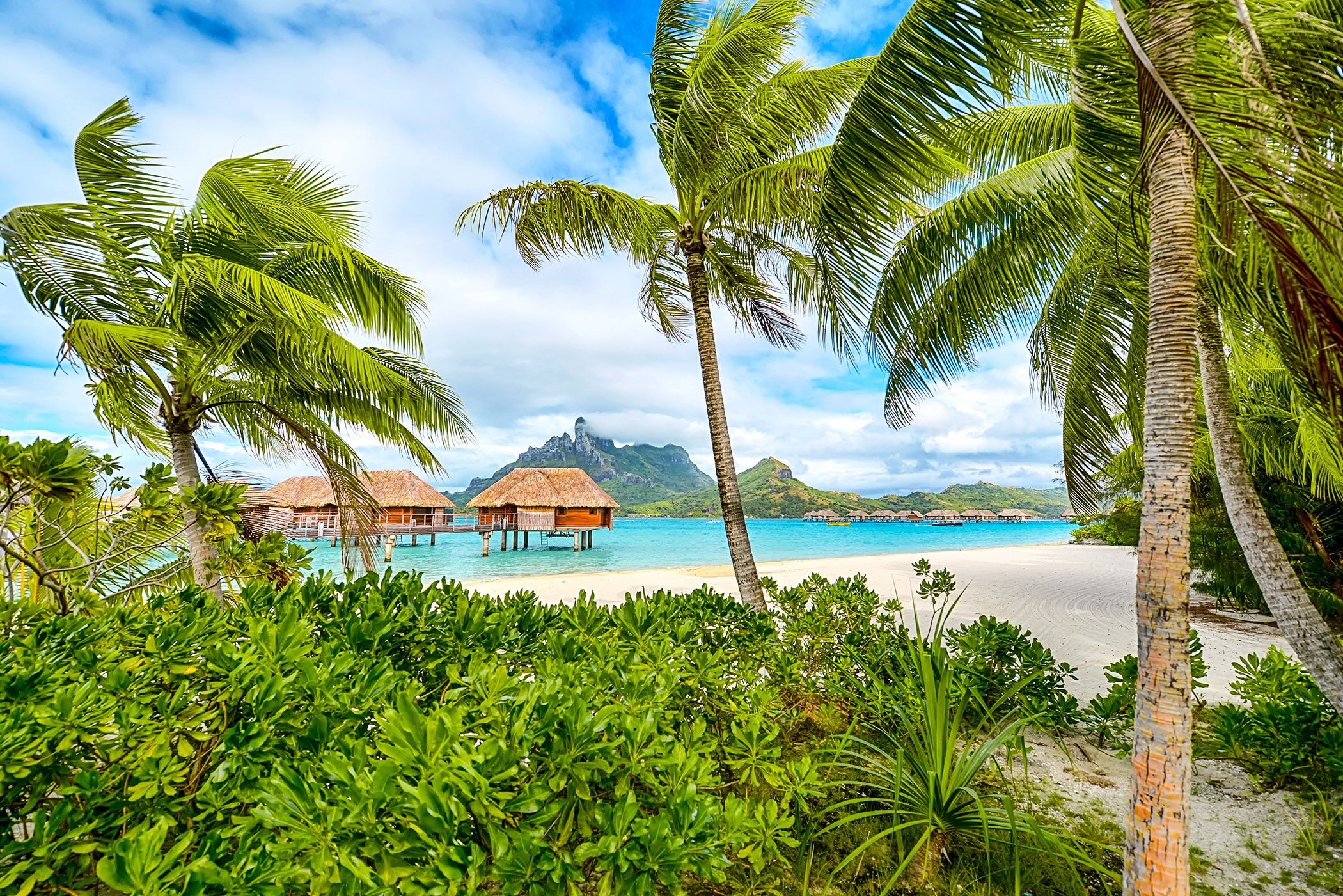 Overwater bungalows in Bora Bora lagoon with Mount Otemanu, palm-fringed beach and turquoise waters, luxury French Polynesia cruise destination.