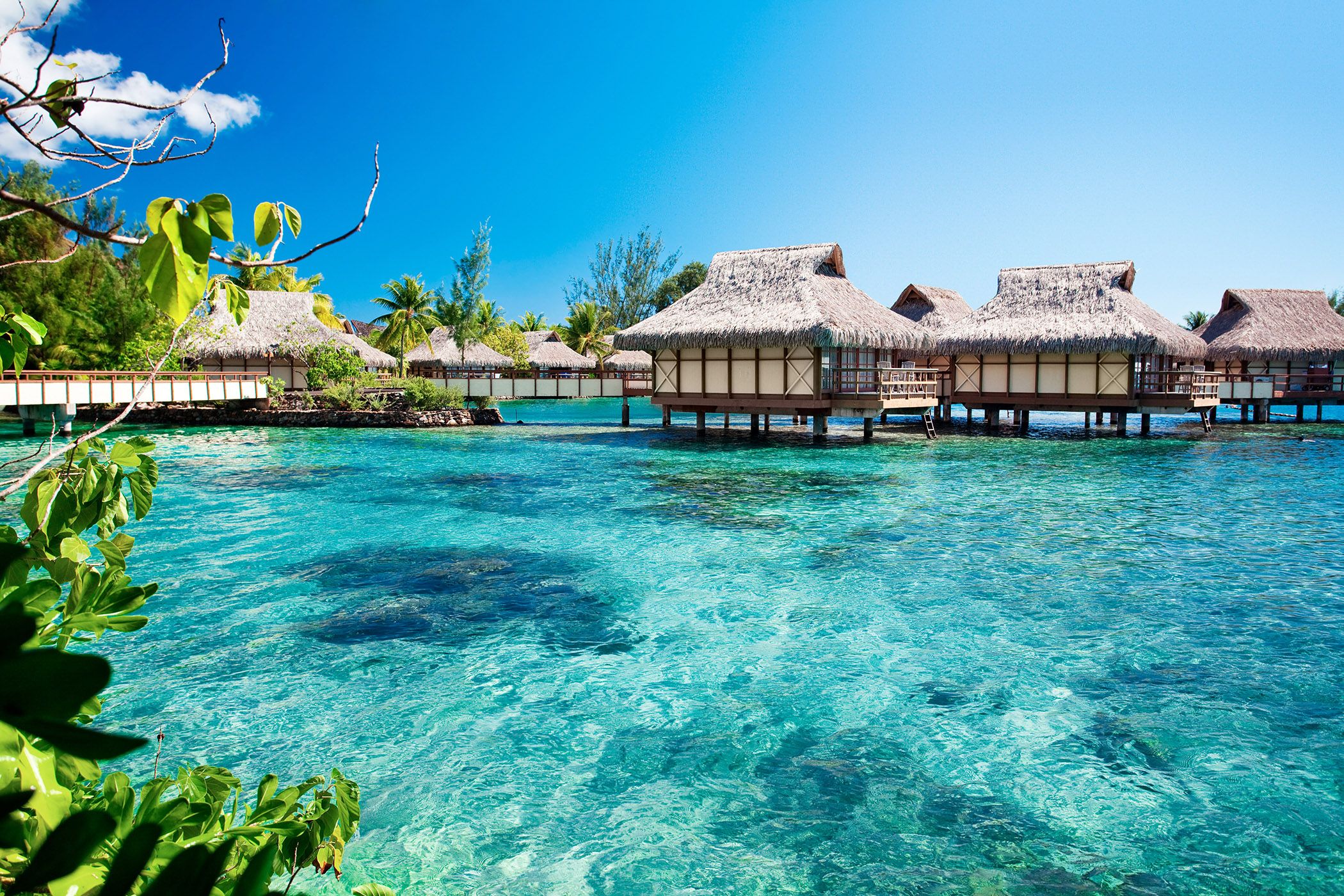 Overwater bungalows on turquoise lagoon in Papeete, Tahiti, French Polynesia, tropical South Pacific cruise destination with clear water, palm trees, and luxury island resort scenery.