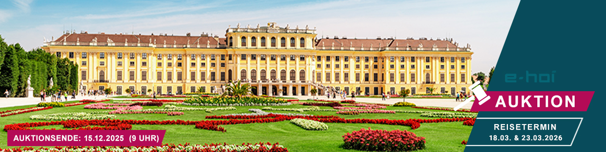 1236x310px_Auktion_LP_Header_Donau_2