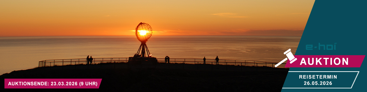 1236x310px_Auktion_LP_Header (2)