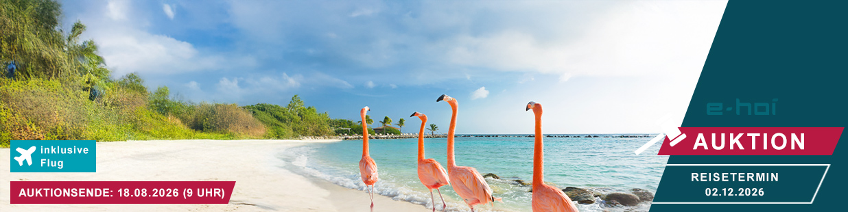 1236x310px_Auktion_LP_Header_Nicko_Aruba