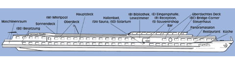 Querschnitt: Aurelia (alt)