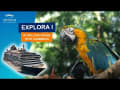 Een ultraluxe cruise met Explora Journeys naar de Oostelijke Caribbean