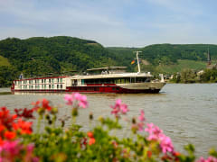 STARLING FLEET - Serenade I - Bild 1