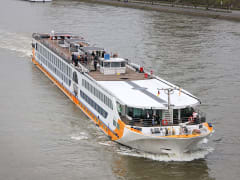 STARLING FLEET - VistaRio  - Image 1