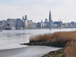 Cruzeiro no. 121487 - Bild 2