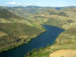 Kreuzfahrt Nr. 124126 - Bild 2