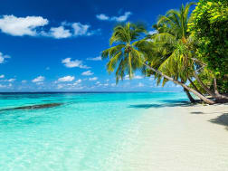 Wei&szlig;er Sandstrand mit Palmen und Meer &ndash; perfektes Ziel f&uuml;r Ihre Kreuzfahrt