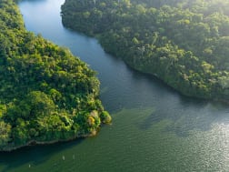 Dichter Regenwald s&auml;umt einen ruhigen, gr&uuml;nen Wasserarm des Panamakanals