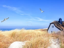 Ostsee &ndash; K&uuml;stenlandschaft mit D&uuml;nen, Strandgras und traditionellem Reetdachhaus am Meer.