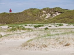 Cruise nr. 102689 - Foto 3