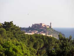 Kreuzfahrt Nr. 112234 - Bild 1