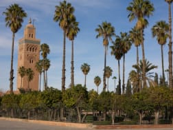 Kreuzfahrt Nr. 116987 - Bild 3