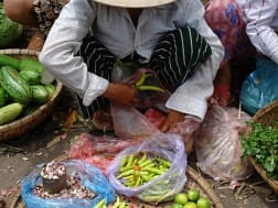 Cruise nr. 123593 - Foto 1