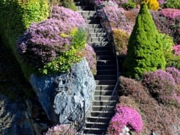 Kreuzfahrt Nr. 125820 - Bild 3