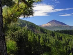 Kreuzfahrt Nr. 110015 - Bild 1