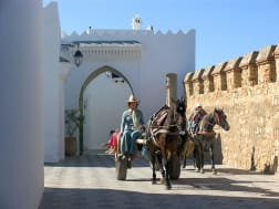 Cruise nr. 120455 - Foto 1