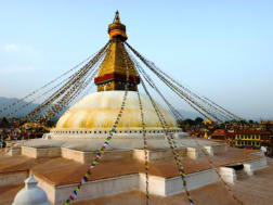 Kreuzfahrt Nr. 121622 - Bild 3