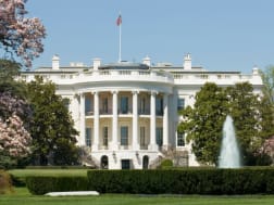 Kreuzfahrt Nr. 121177 - Bild 1