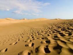 Cruise nr. 123104 - Foto 1