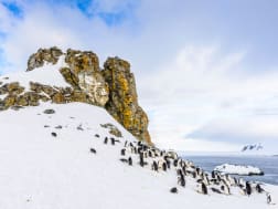 Cruise nr. 112654 - Foto 3