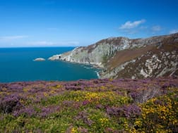 Crucero no. 110554 - Bild 1