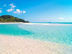 Cruise No. 113633 - Picture 1