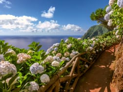 Kreuzfahrt Nr. 114828 - Bild 1