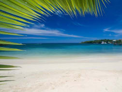 Cruise No. 115901 - Picture 1