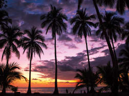 Kreuzfahrt Nr. 126570 - Bild 2