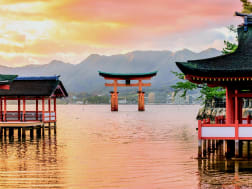 Cruise nr. 123502 - Foto 1