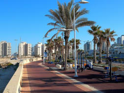 Kreuzfahrt Nr. 119005 - Bild 3