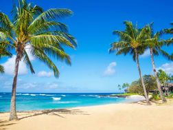 N&deg; de croisi&egrave;re 111112 - Image 1