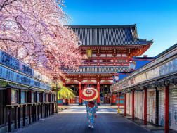 Cruise nr. 110432 - Foto 1