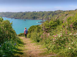 Cruise nr. 126577 - Foto 2