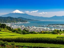 Shimizu Japan &ndash; Teeplantagen mit Blick auf Hafen und schneebedeckten Fuji