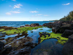 Cruise nr. 101290 - Foto 3