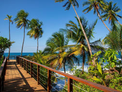 Puerto Lim&oacute;n, Costa Rica &ndash; Holzsteg f&uuml;hrt durch Palmen zur Gischt des Atlantiks