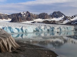 Kreuzfahrt Nr. 120433 - Bild 3