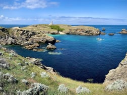 Crucero no. 124120 - Bild 2