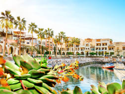 Aqaba, Jordanien &ndash; Hafenbereich mit luxuri&ouml;sen Geb&auml;uden und tropischer Vegetation