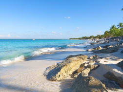 Isla Catalina, Dominican Republic - Karibikstrand mit Palmen und hellem Sand