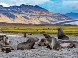 Cruise nr. 95235 - Foto 3