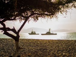 Crucero no. 119471 - Bild 3