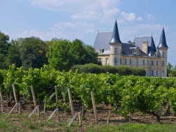 Pauillac, Frankrijk &ndash; Historisch wijndomein tussen groene wijnranken