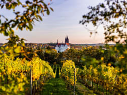 Meissen, Allemagne &ndash; Vignes devant les tours historiques de la ville