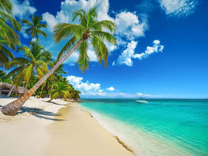 White sandy beach with palms and turquoise sea under a bright blue sky