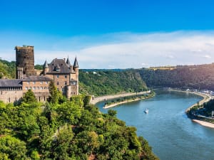 Rhine Cruise - Picture 4