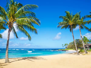 Hawaii Cruise - Picture 5