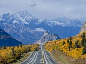 Alasca Cruzeiro - Bild 4